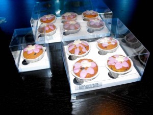 Clear plastic cupcake containers