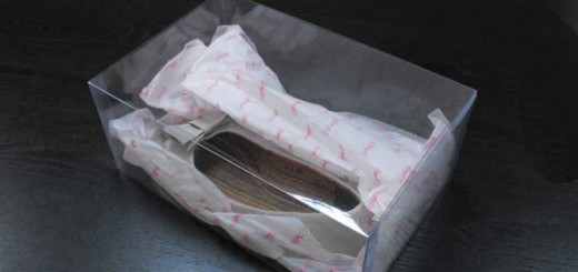plastic packaging box for shoes