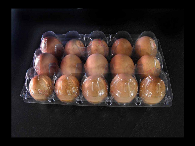 cofraje-15-oua-de-gaina-406-1